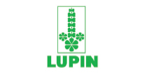 lupin